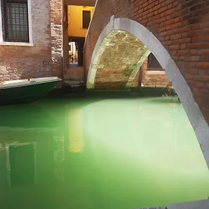 The Secret Garden In The Very Heart Of Appartamento